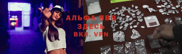 стаф Беломорск